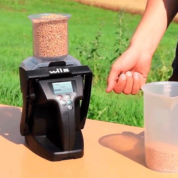 Measurement of moisture in Rice Wile 200 at