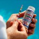 Water Test Strips (pH, Free Chlorine, Bromine & Total Alkalinity) TSL100