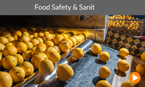 Food safety