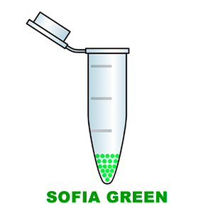 Sofia Green